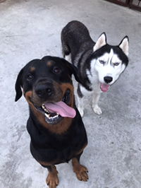 Emerald profile icon