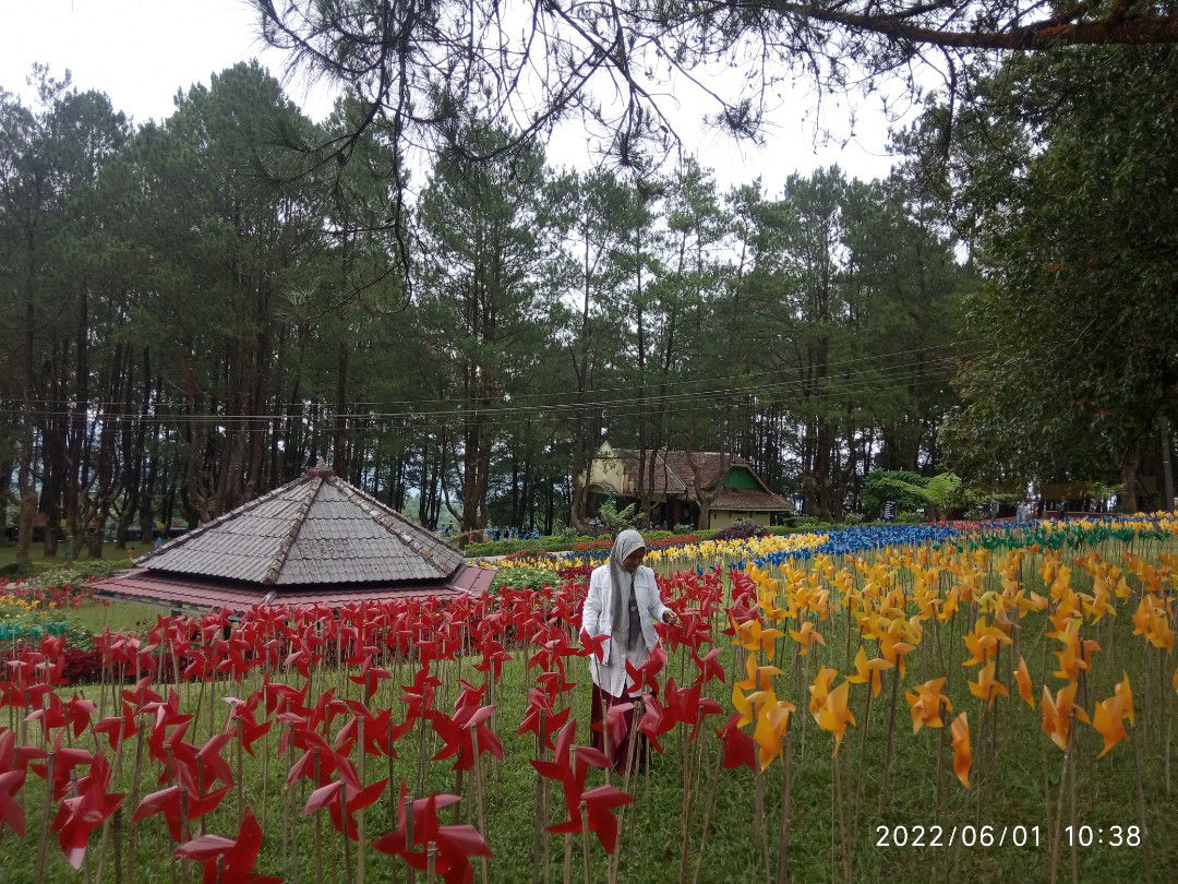 Al- Fafa profile icon