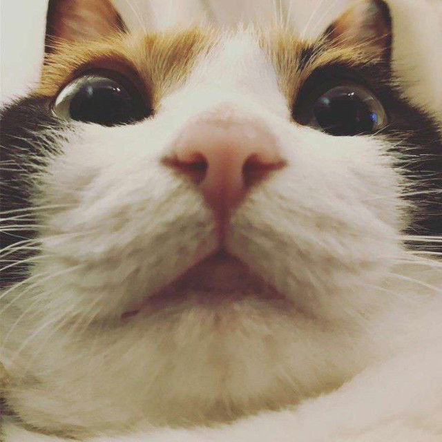 Bunda Maureen profile icon