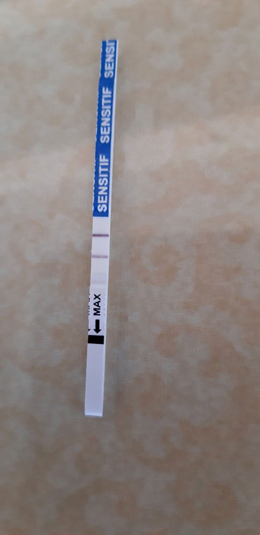 Felicia Prayogo profile icon