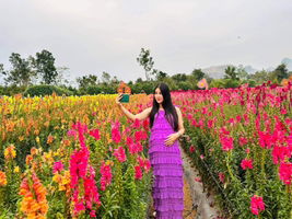 Siriwon Tosap profile icon