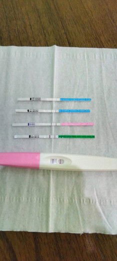 febi ps profile icon