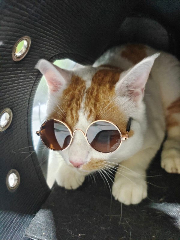 Mrs. Ramadan profile icon