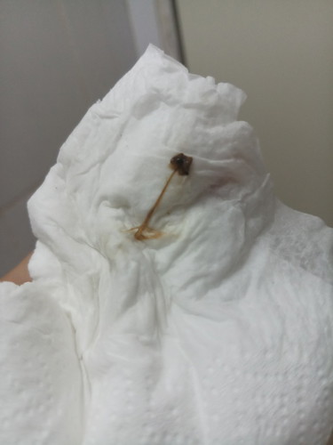 ขอสอบถามแม่ๆ หน่อยคะ