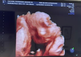 Sharmaine D. profile icon