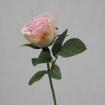 Mrs. Anne profile icon