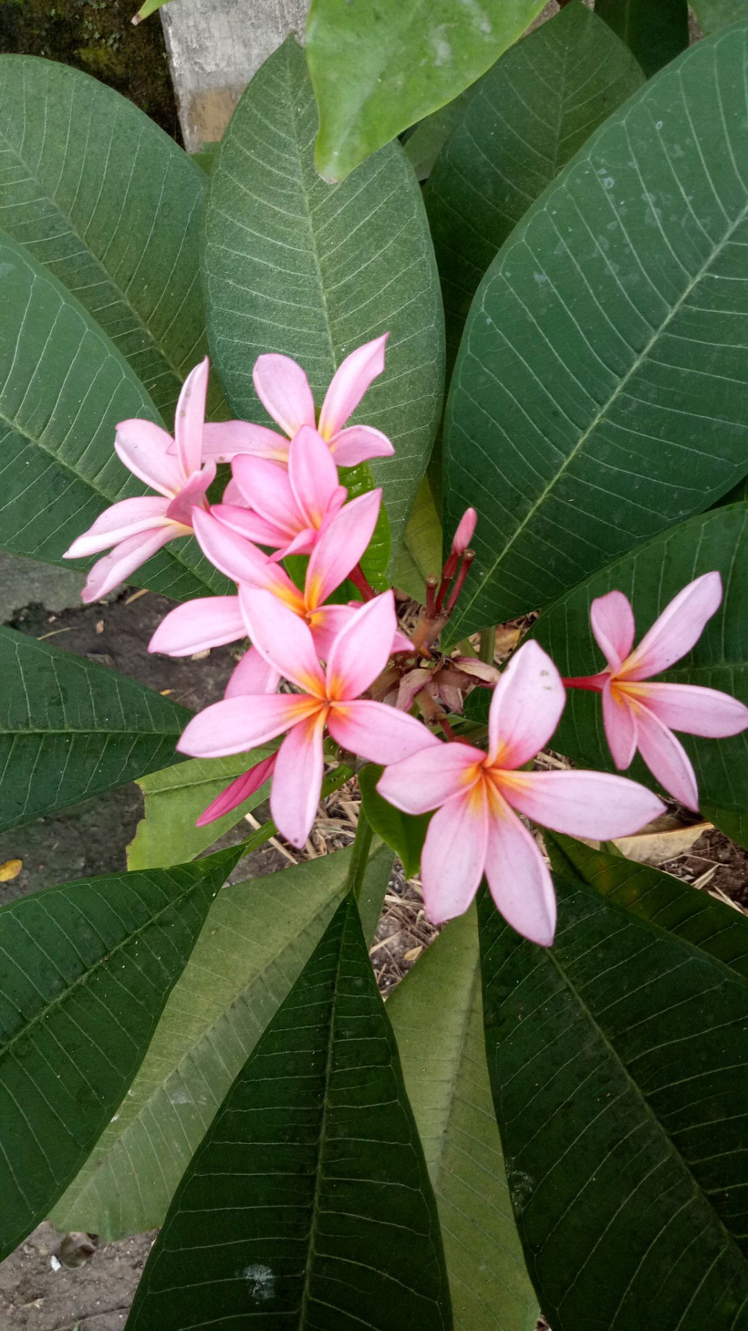 itsayyyyyy06 profile icon