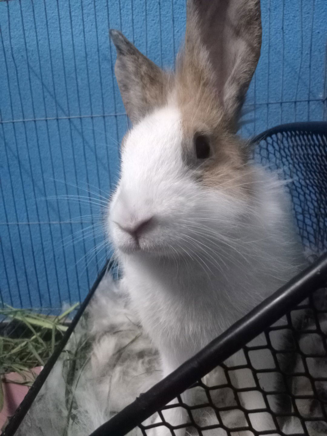 มอ' มิ้นนน. profile icon