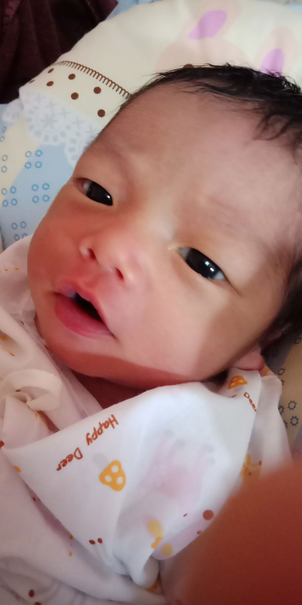 โดม่อน Domon profile icon