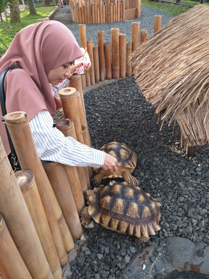 Nur Fadhilah profile icon