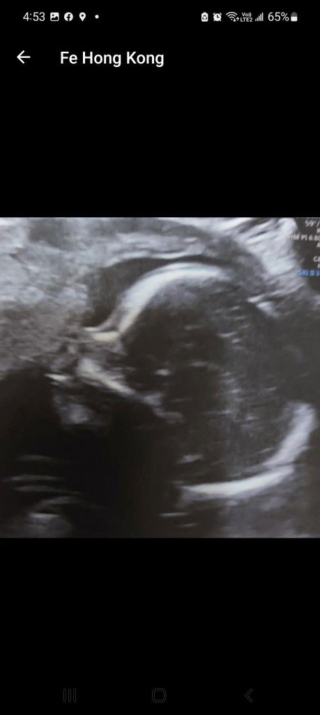 Maria Fe Torres profile icon