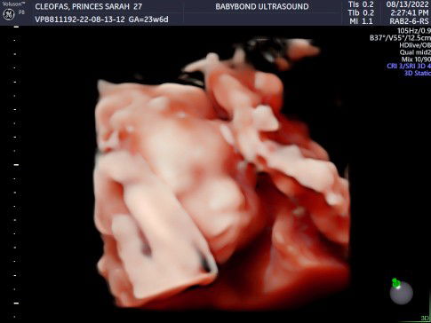 Princes Escuadra profile icon