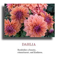 Leslie G. profile icon