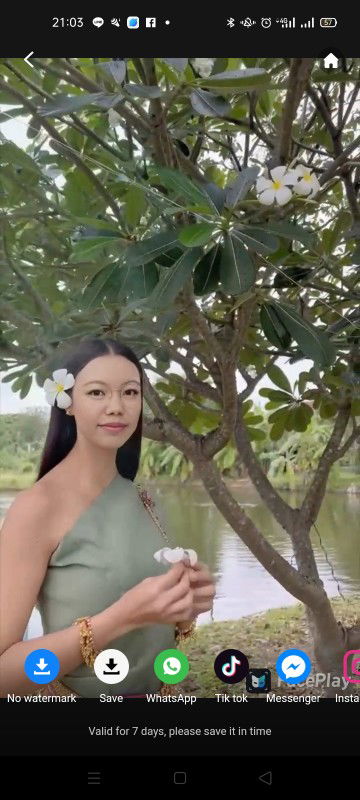 N'may Singer profile icon