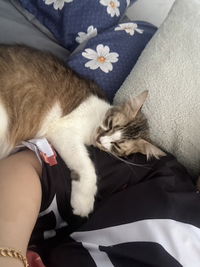 fikie mikie profile icon