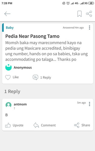 AntMom