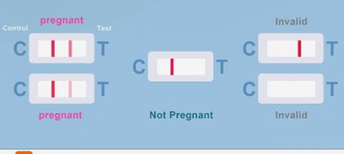 PREGNANCY TEST RESULT GUIDE