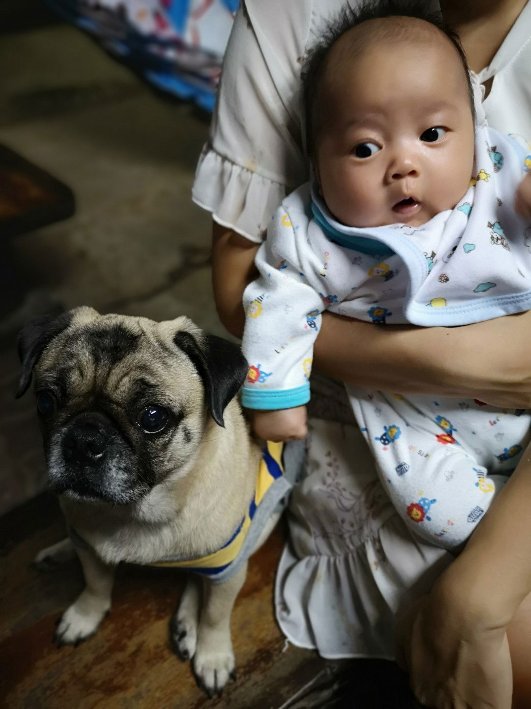 บ้่านไหนเลี้ยงลูกร่วมกับน้องหมาบ้างคะ