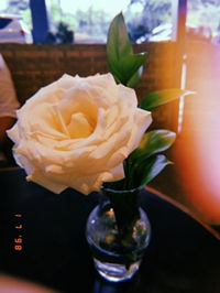 Indriyani Dwi Putri Fahlevie profile icon