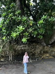 Indri Nuryulia Dewi Safitri profile icon