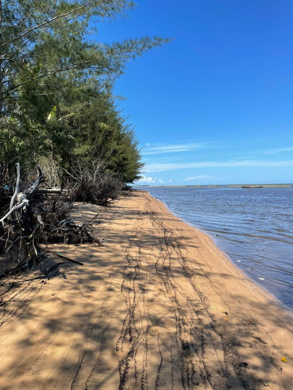 Mamah_Muda profile icon