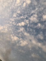 Setyaningsih Budirahayu profile icon