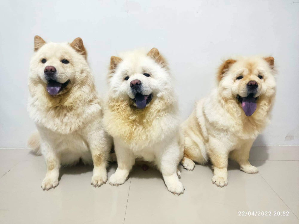 Nairobi profile icon