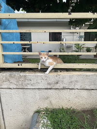 Medz Ron profile icon