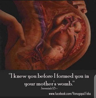 Jessan Arieta profile icon