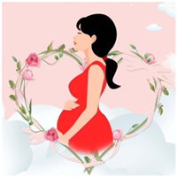 CheQaseh profile icon