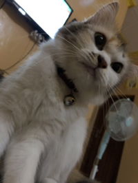 Dini Kusuma profile icon