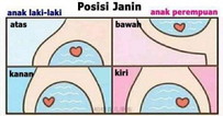 mitos atau fakta