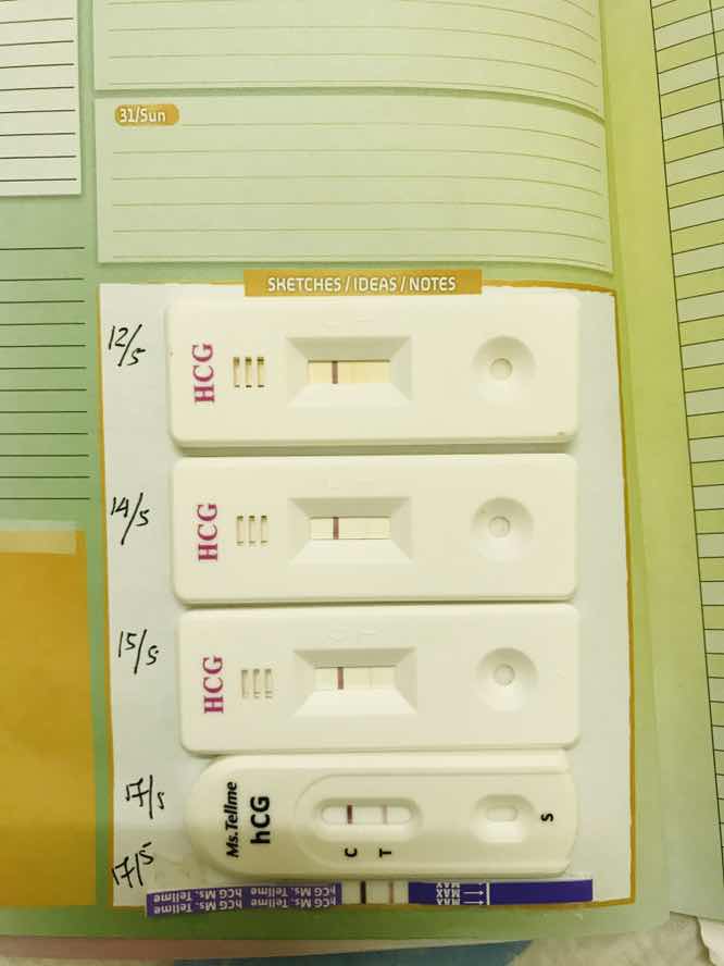 PREGNANT LEPAS GUGUR