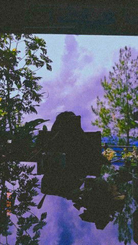 Alysa Nadeera profile icon