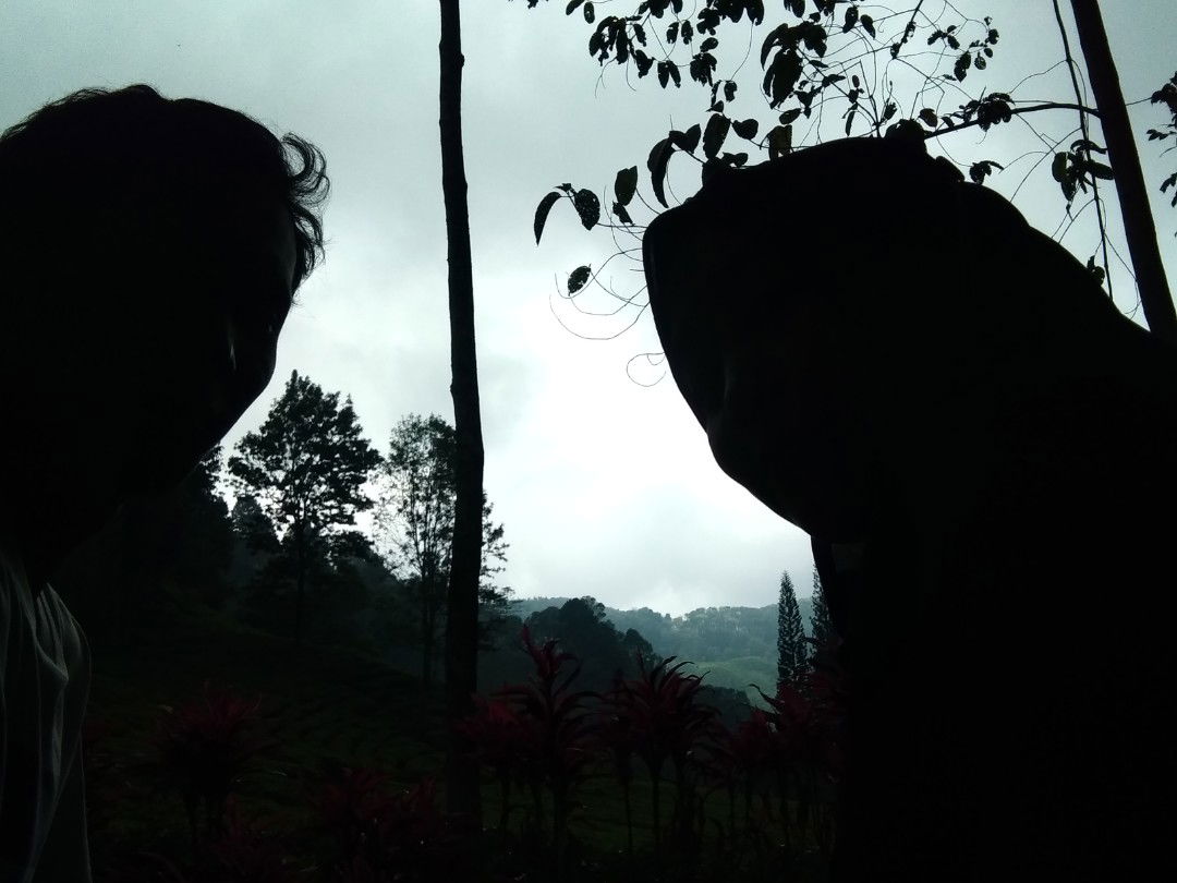 Mufrika Ahlul Mualimah profile icon