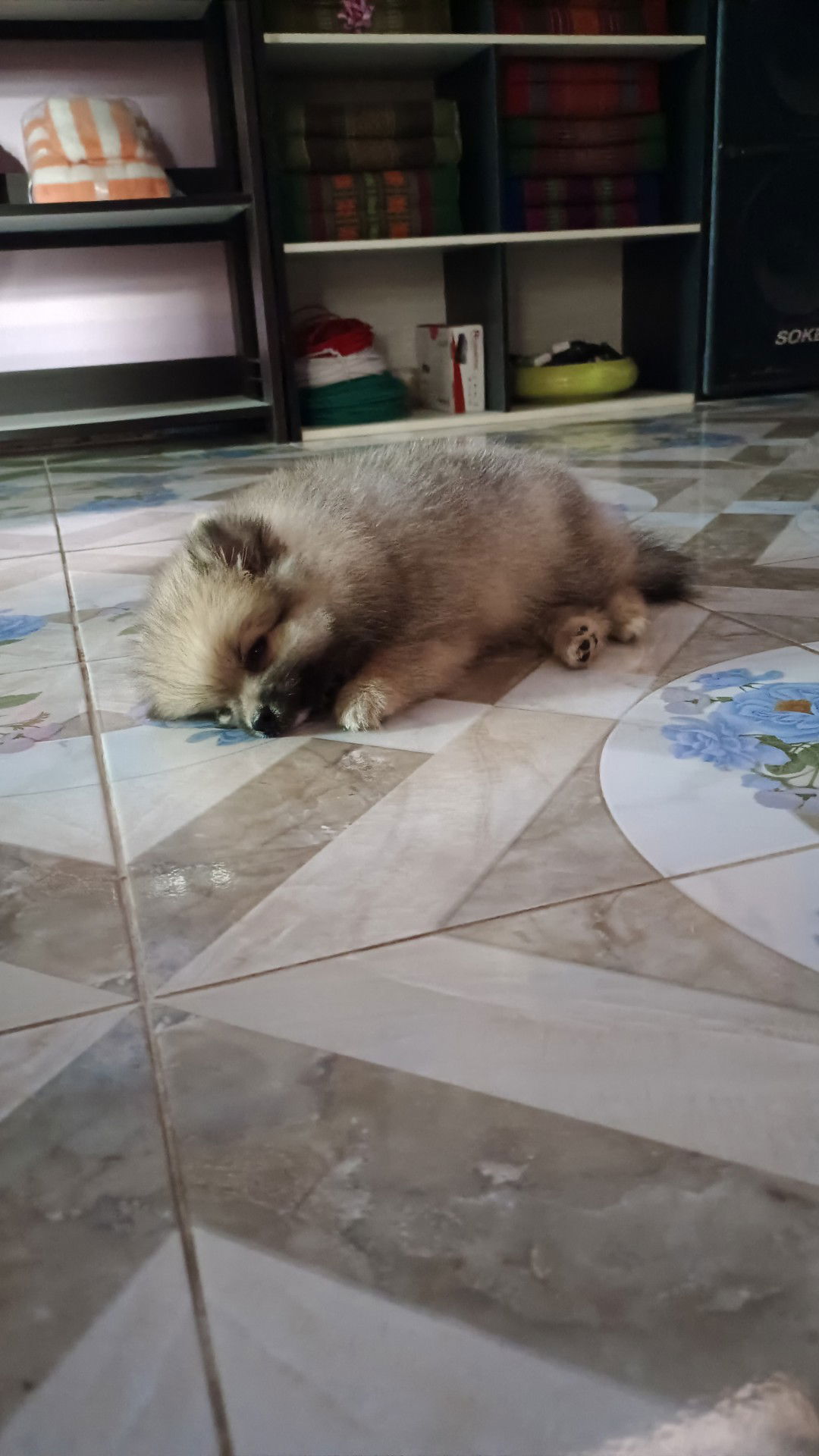 Preawny profile icon