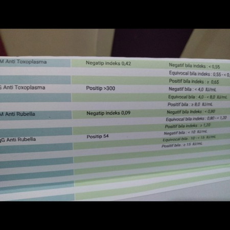 cek mau promil