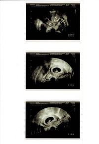 POLLYPLOY profile icon