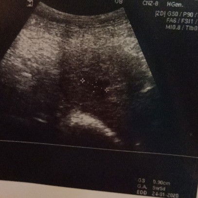 tiada rezeki kami lagi