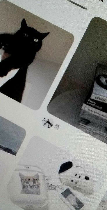 warunya profile icon