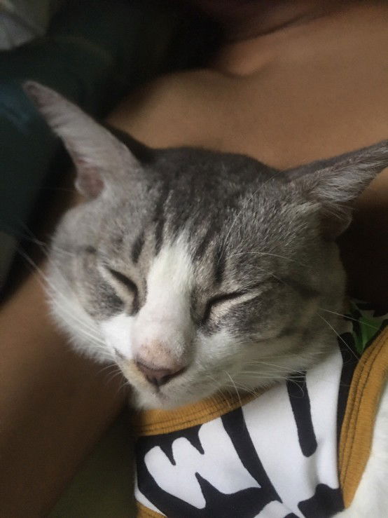 Patpimon Sosud profile icon