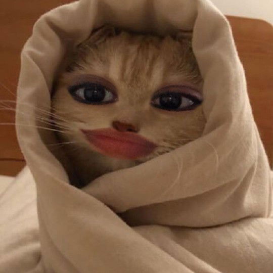 sunflower profile icon