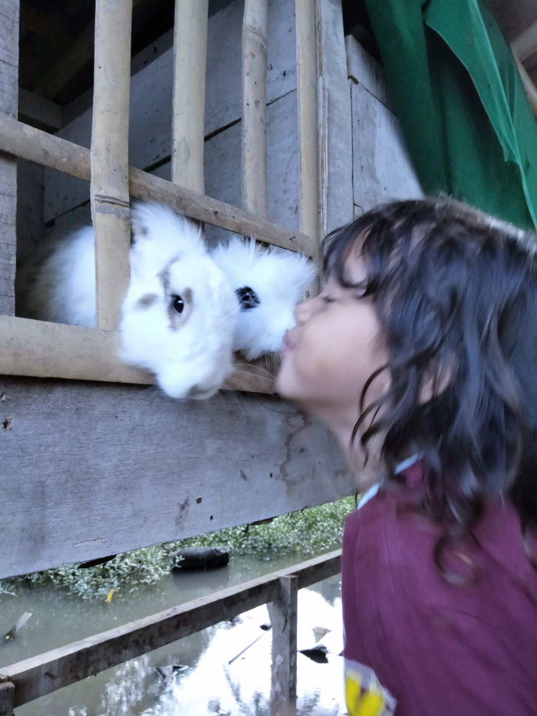 najwamaryam profile icon