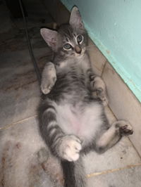 Sabrina Kuan profile icon