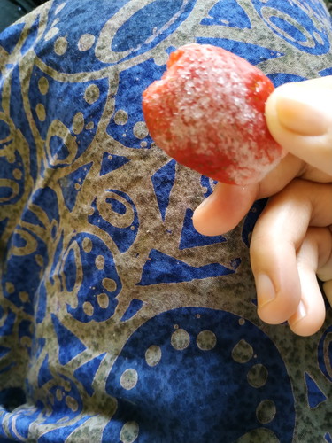 buah2 an d bekukan