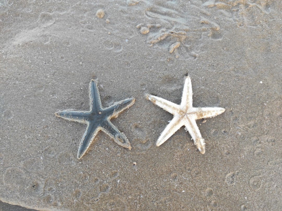 Maulina Kin profile icon