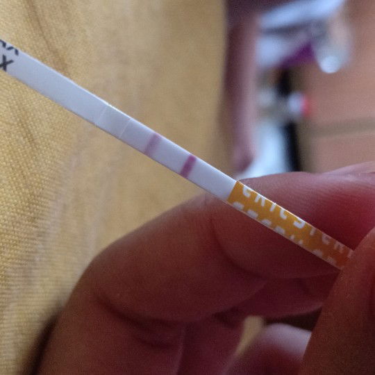 dilemaa, mohon saran dan masukan