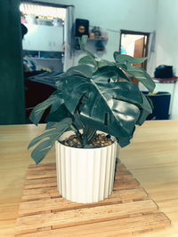 Dalley🌼 profile icon