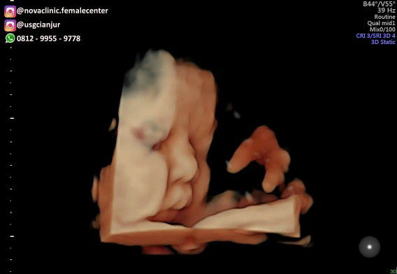 sagitaa profile icon