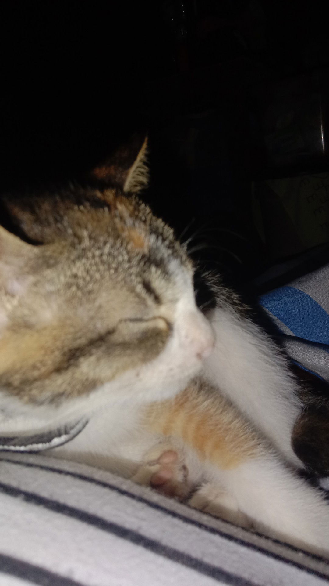 Angela Marie Gonzales profile icon